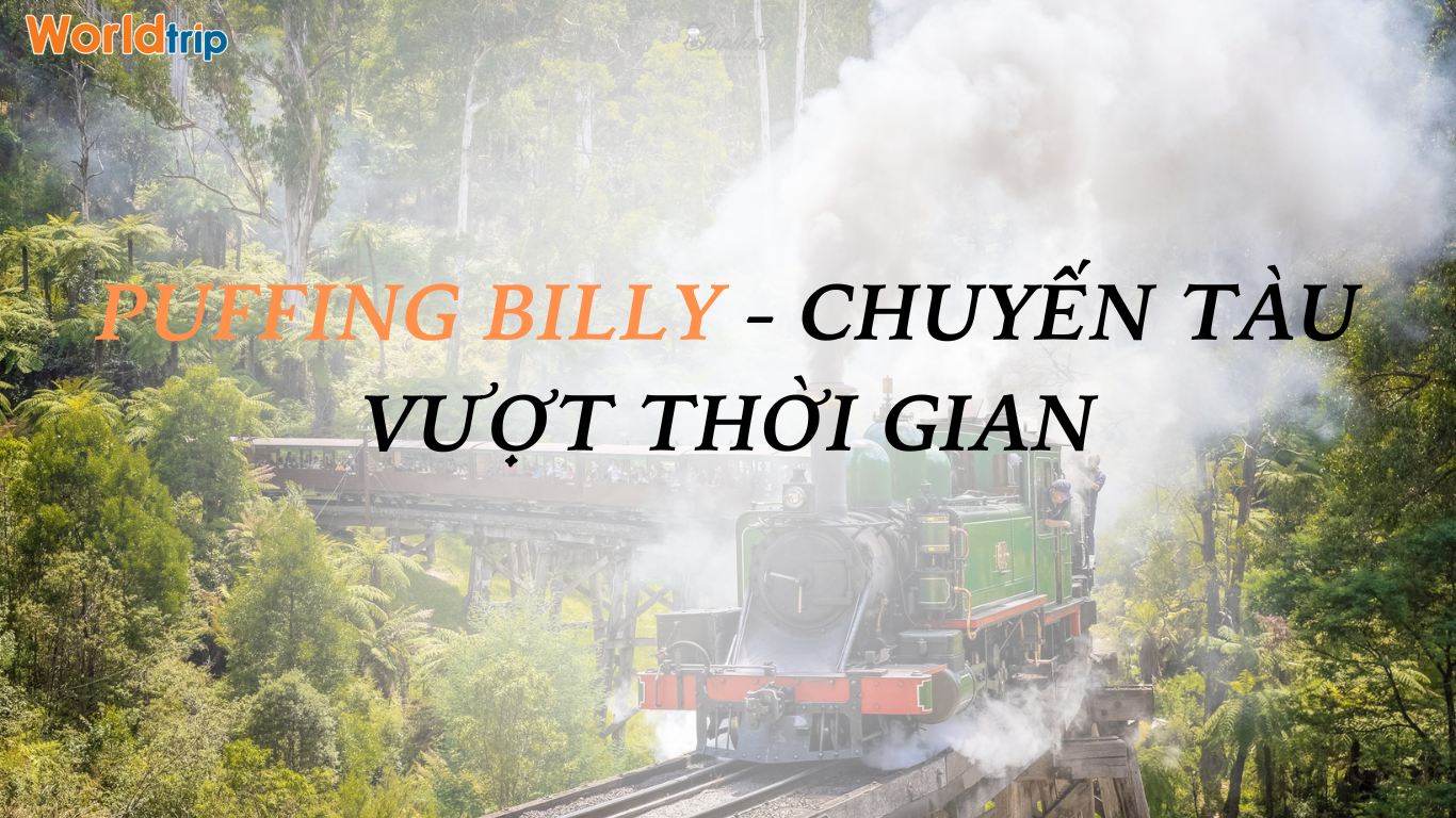 PUFFING BILLY – CHUYẾN TÀU VƯỢT THỜI GIAN PUFFING BILLY – CHUYẾN TÀU VƯỢT THỜI GIAN