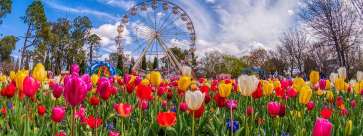 CÓ GÌ TẠI LỄ HỘI FLORIADE - LỄ HỘI HOA LỚN NHẤT NAM BÁN CẦU CÓ GÌ TẠI LỄ HỘI FLORIADE - LỄ HỘI HOA LỚN NHẤT NAM BÁN CẦU